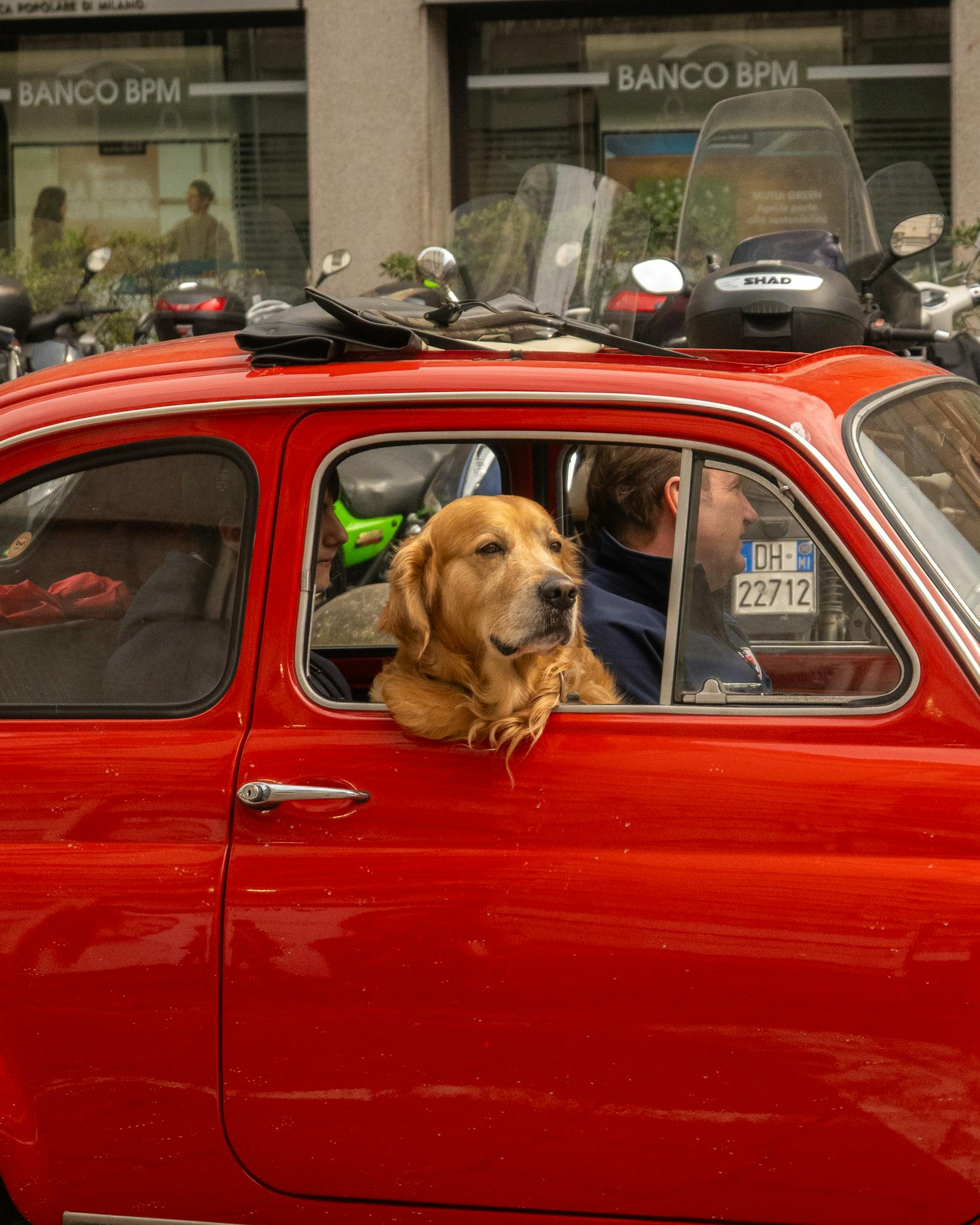 A golden retriever peeks from a red vintage car window in a bustling city.